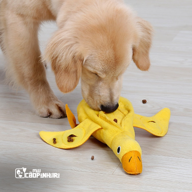 PATO INTERATIVO PARA CACHORRO