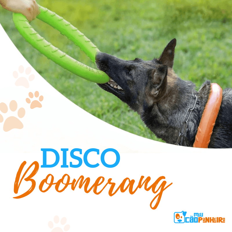 Disco Boomerang