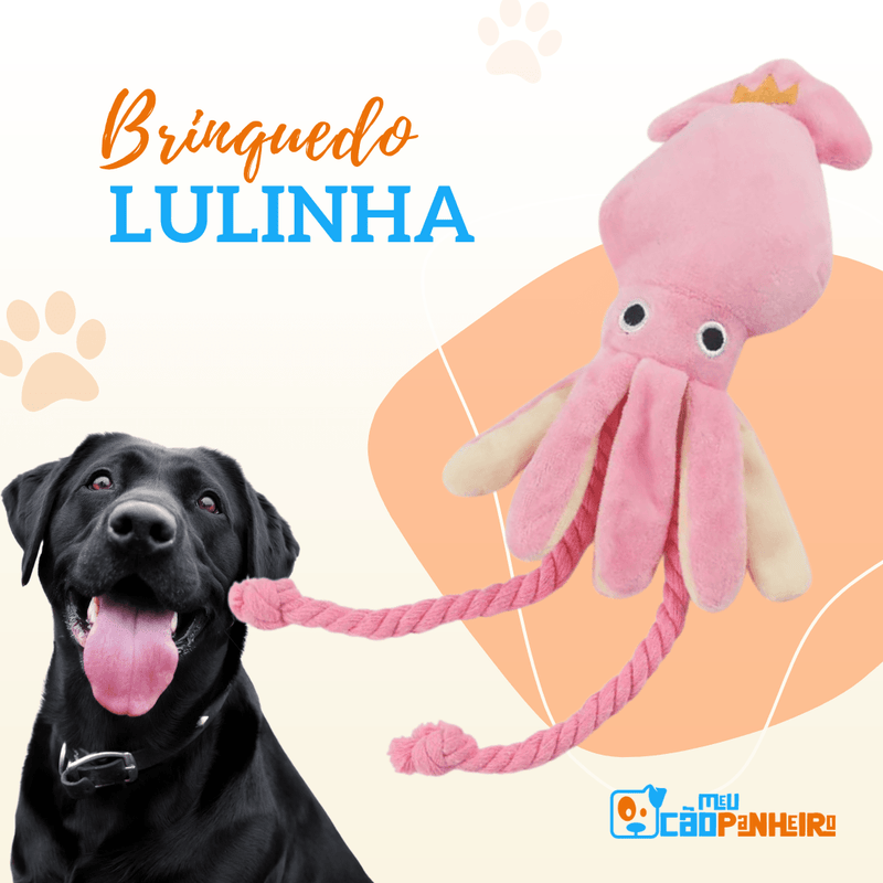 Brinquedo Lulinha