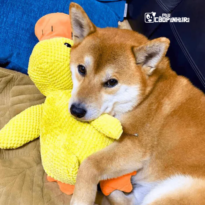 Pato de Pelúcia de Suporte Emocional para Cães - Cãopanheiro Pato