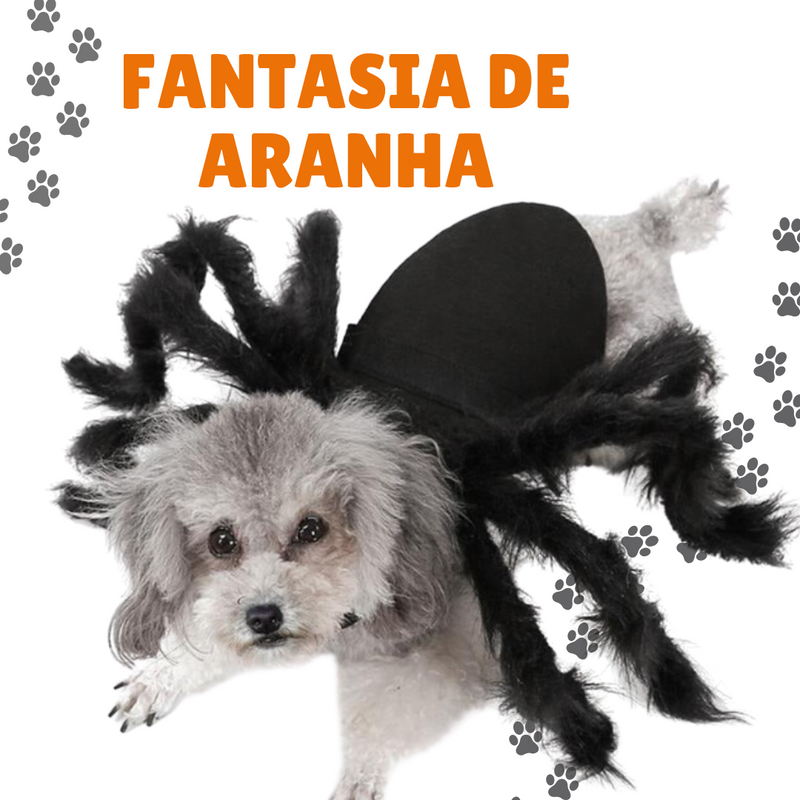 Fantasia de Aranha para Cachorro