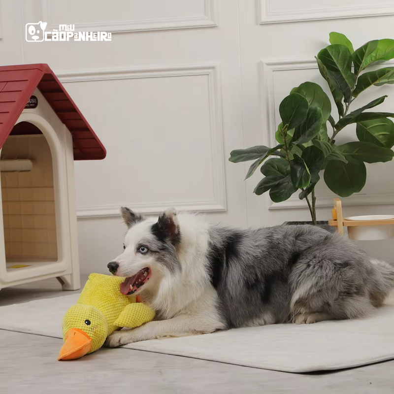 Pato de Pelúcia de Suporte Emocional para Cães - Cãopanheiro Pato