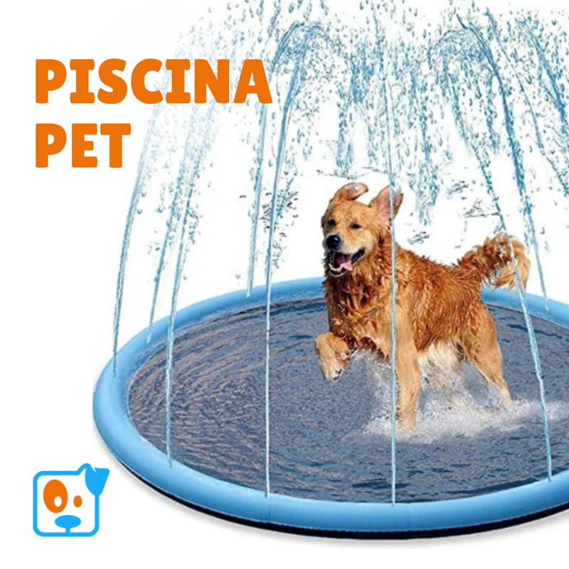 Piscina Pet Com Chafariz para Cães