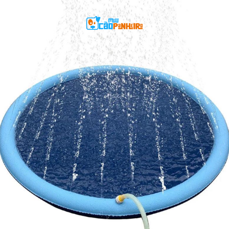 Piscina Pet Com Chafariz para Cães