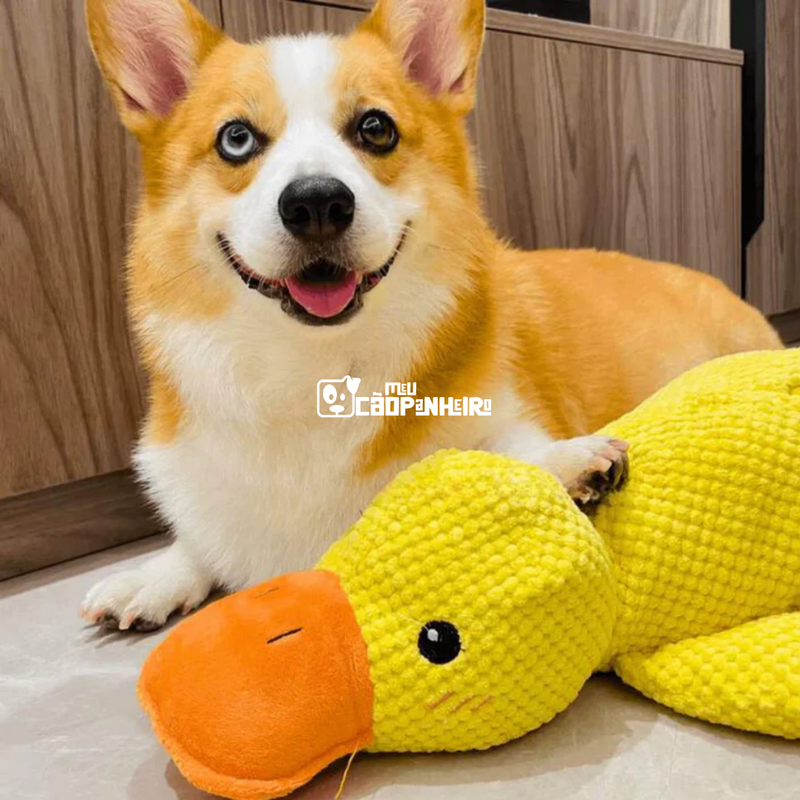 Pato de Pelúcia de Suporte Emocional para Cães - Cãopanheiro Pato