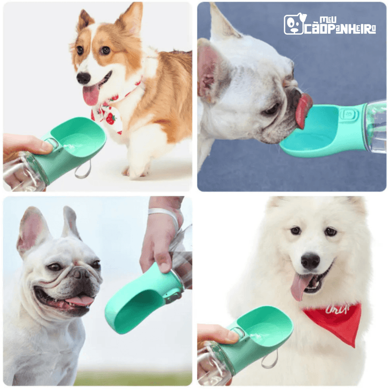 Garrafa de Água Para Cães - AcquaPet