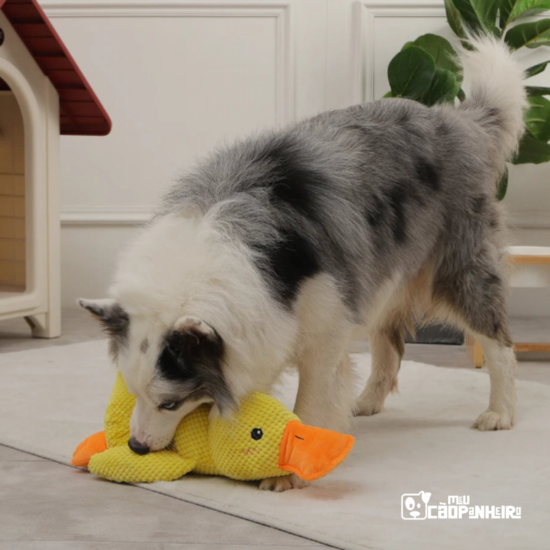 Pato de Pelúcia de Suporte Emocional para Cães - Cãopanheiro Pato