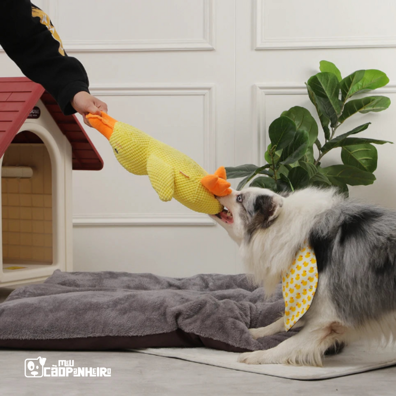 Pato de Pelúcia de Suporte Emocional para Cães - Cãopanheiro Pato